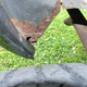 Image for article titled Here's What's Wrong With My $500 Low-Mileage Jeep Cherokee